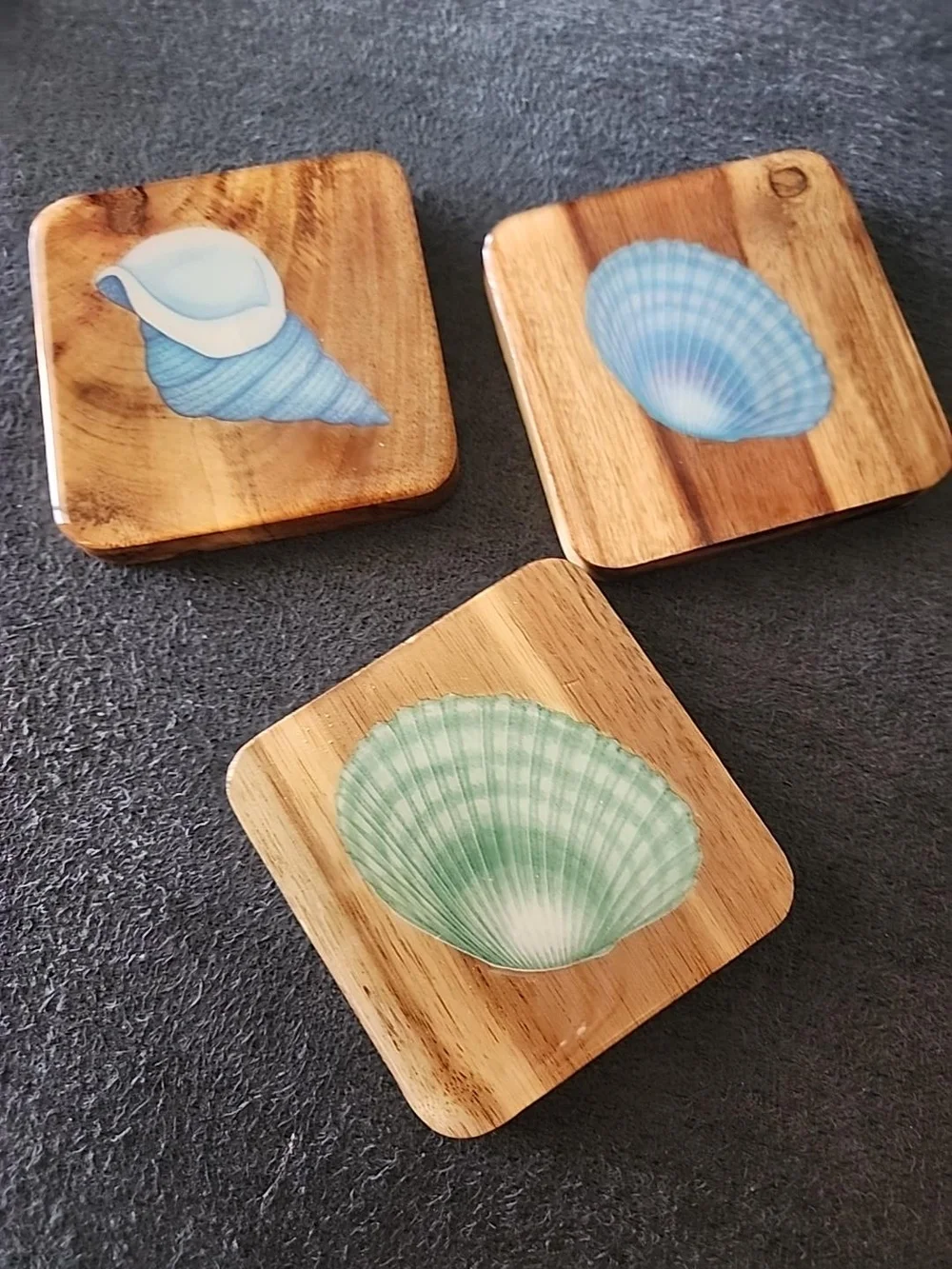 Coastal Shell Wood Coasters - Set of 3
